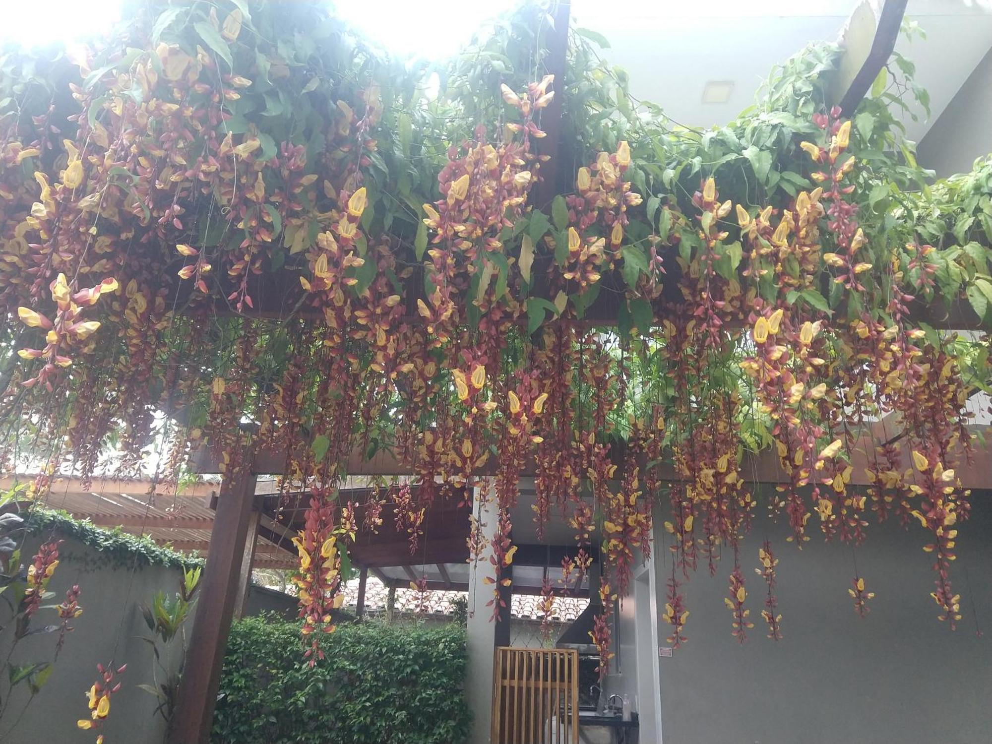 Casa em condomínio fechado, ambiente familiar São Sebastião Exterior foto